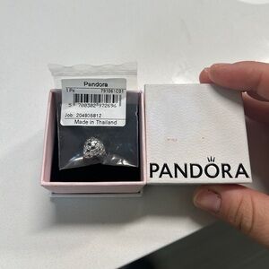 Pandora Silver Charm